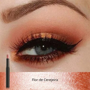 🔥Novo lançamento: Caneta de Sombra em Bastão que Combina com TODAS as Idades!