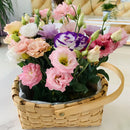 Eustoma Rosa Sem Espinhos💐Sementes de Lisanthus